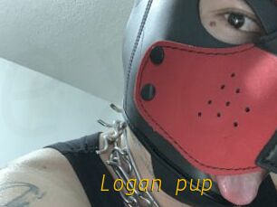 Logan_pup