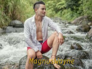 MagnusWayne