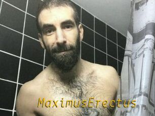 MaximusErectus