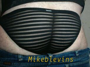 Mikeblevins