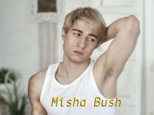 Misha_Bush