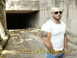 MorrisTheHumme