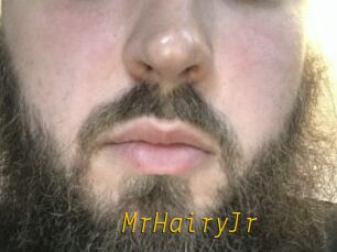 MrHairyJr