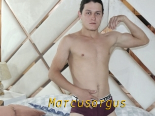 Marcusorgus