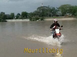 Maurillobig