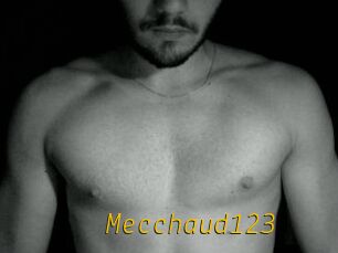 Mecchaud123