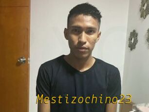 Mestizochino23