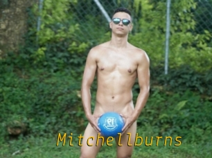 Mitchellburns