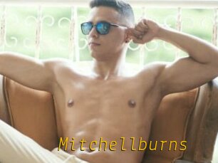 Mitchellburns