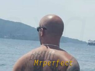 Mrperfect