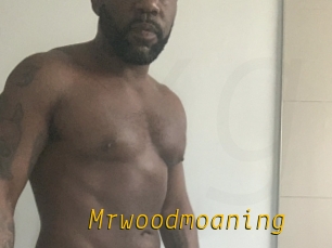 Mrwoodmoaning