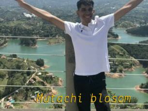 Mutachi_blosom
