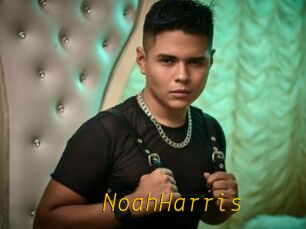 NoahHarris