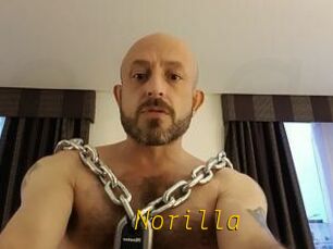 Norilla