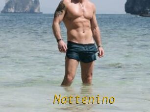 Nattenino