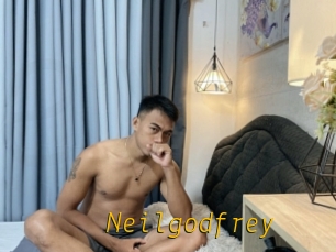 Neilgodfrey