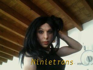 Ninietrans