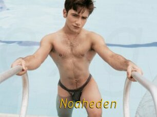 Noaheden