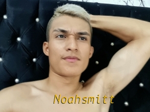 Noahsmitt