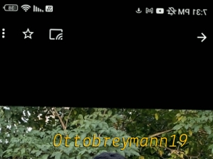 Ottobreymann19