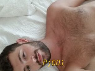 Pj001