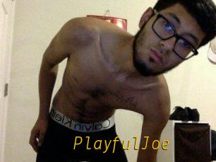 PlayfulJoe
