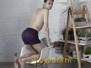 PlayfulMrR