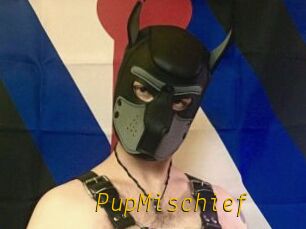 PupMischief