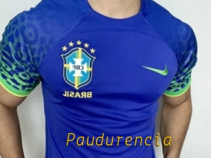Paudurencia