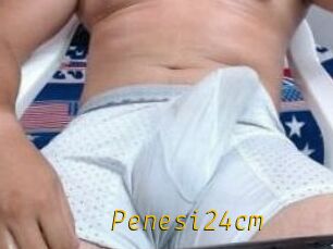 Penesi24cm