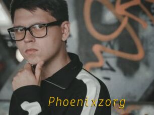 Phoenixzorg