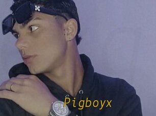 Pigboyx