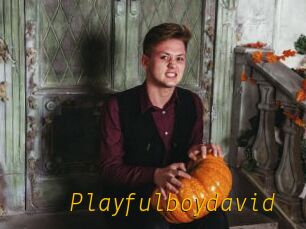 Playfulboydavid