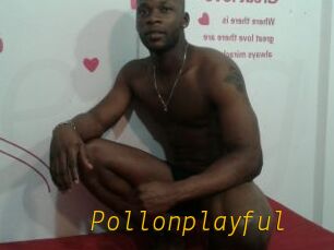 Pollonplayful