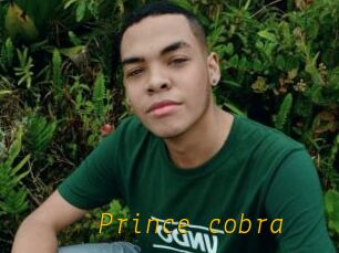 Prince_cobra