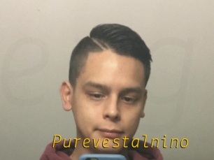 Purevestalnino