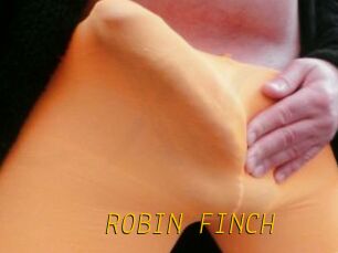 ROBIN_FINCH