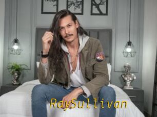RaySullivan