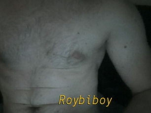 Roybiboy