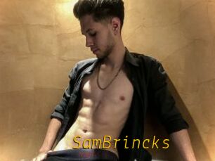 SamBrincks