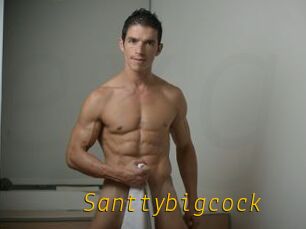Santtybigcock
