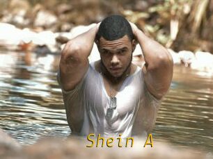 Shein_A