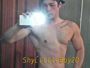 ShyLittleBoy20