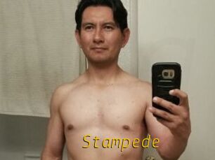 Stampede