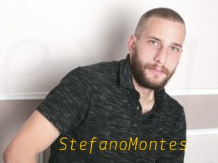 StefanoMontes