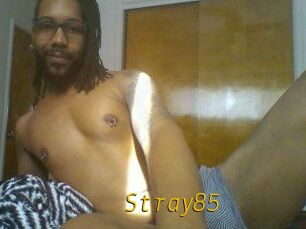 Stray85