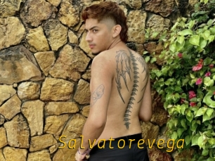 Salvatorevega