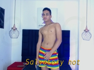 Salvatory_hot
