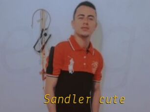 Sandler_cute