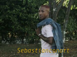 Sebastianconort